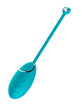 Œuf vibrant bleu avec télécommande USB - DAISYBLUE