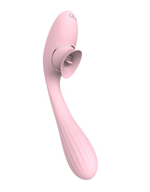 2 en 1 Stimulateur de clitoris avec langue et vibromasseur pour G USB flexible rose DISA - WS-NV025PNK